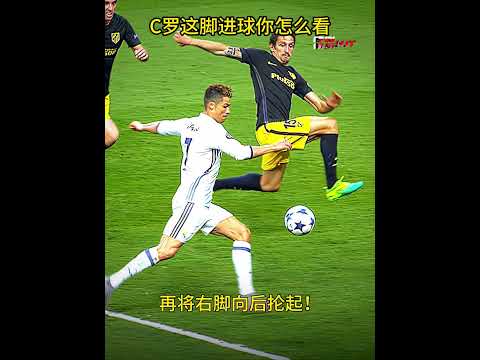 杨先生,篮球传奇人,昨日,世界杯下注,2026世界杯投注,足球彩票,投注技巧,赔率分析